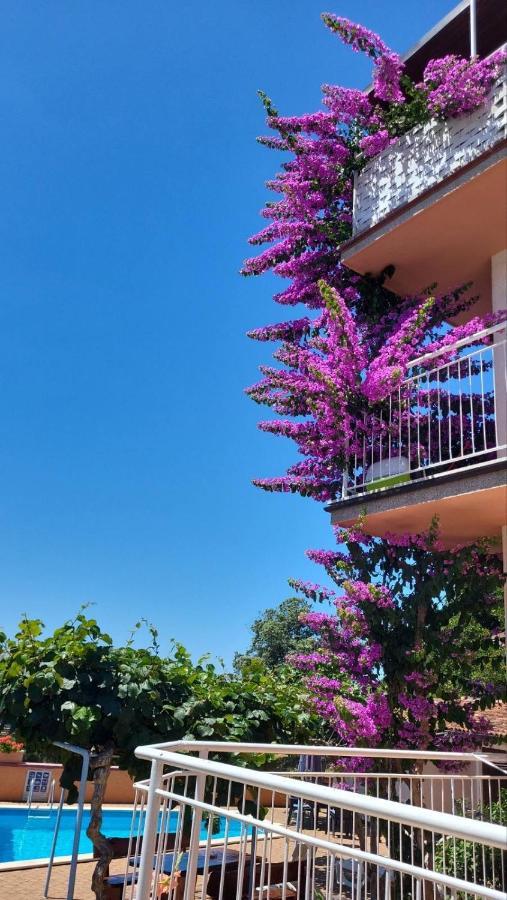 Stella Apartments วิงกุรัน ภายนอก รูปภาพ